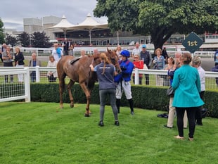 Jack Dace claims milestone win at Sandown Park