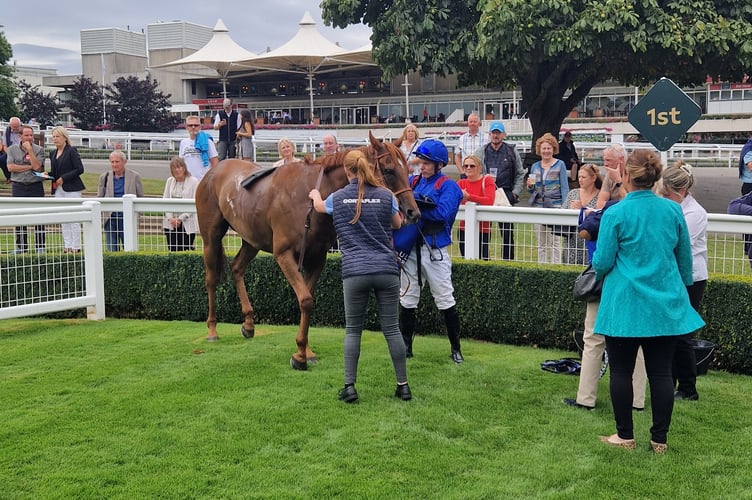 Warning Sign with jockey David Dunsdon (Photo: Peter Moore)