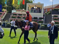 Peter Moore horse racing column: Loughnane claims first Group One win