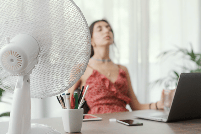 Heatwave warning: 32°C in Surrey and Hampshire