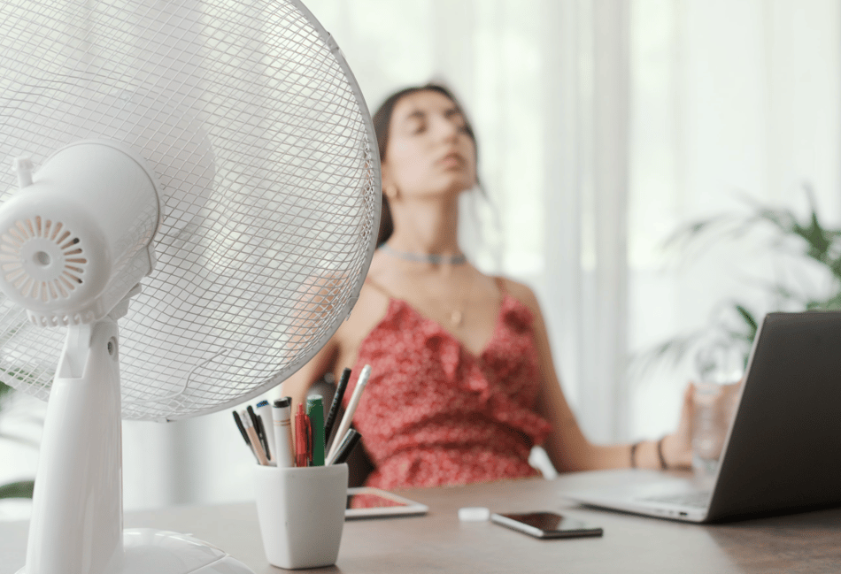 Heatwave warning: 32°C in Surrey, Hampshire