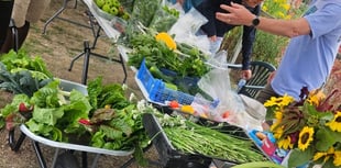 Top of the crops as Derry's Field holds Open Day