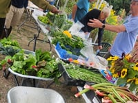 Top of the crops as Derry's Field holds Open Day