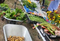 WATCH: Derry's Field is top of the crops as Old Woking allotment site opens to public
