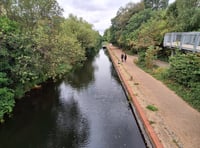 Don't come in, the water's not lovely as algae appears on canal
