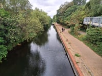 Don't come in, the water's not lovely as algae appears on canal