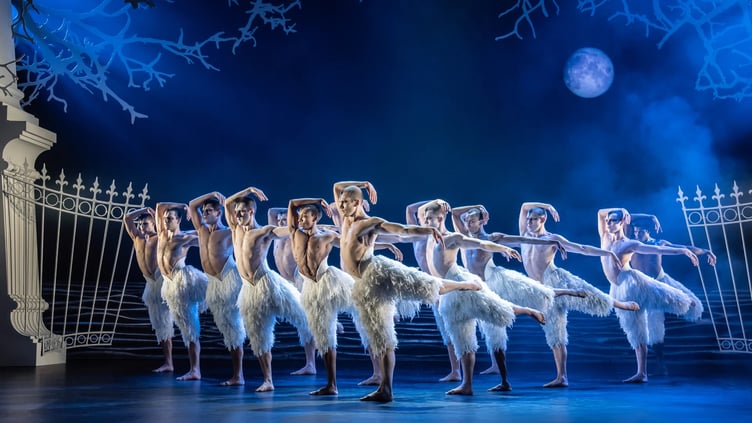 Matthew Bourne Swan Lake
