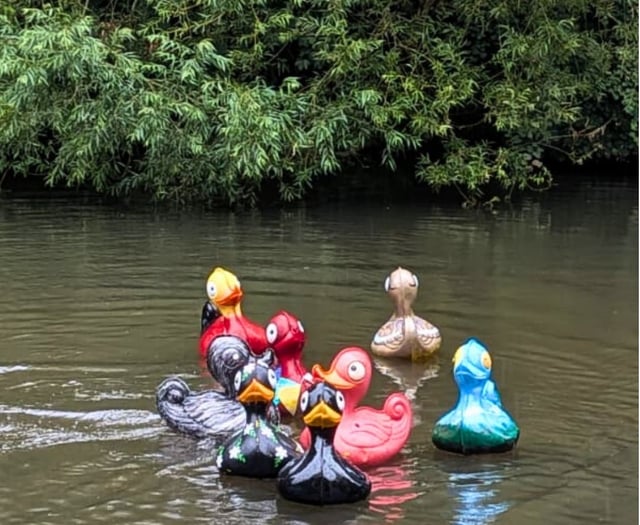 Quacking fun as River Wey duck race raises money for Surrey Care Trust