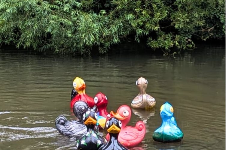 Surrey Care Trust Duck Dash, Millmead Island, Guildford, River Wey, July 5th 2025.