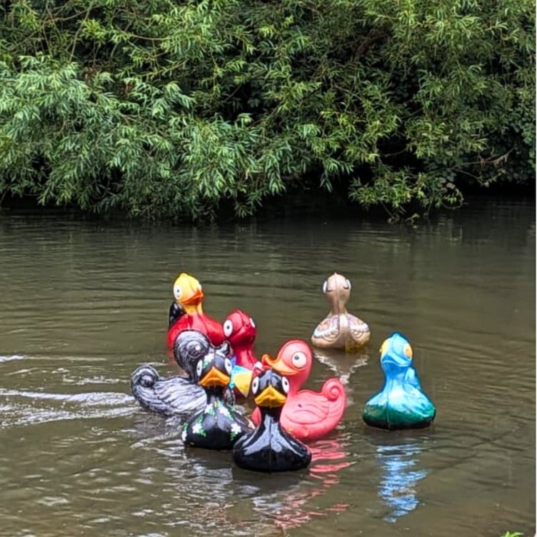 Surrey Care Trust Duck Dash, Millmead Island, Guildford, River Wey, July 5th 2025.
