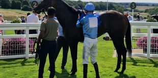 Tommie Jakes continues fine run of form with victory at Epsom Downs