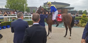 British horse racing to strike over betting tax increase