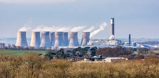 Climate change set to fuel more Salmonella outbreaks, warn scientists