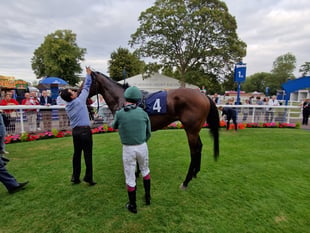 Peter Moore racing column: Hollie Doyle loses retained rider role