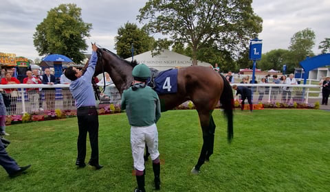 Peter Moore racing column: Hollie Doyle loses retained rider role