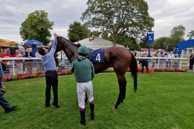 Gamrai at Windsor (Photo: Peter Moore)