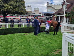 Saffie Osborne bags double at Sandown Park on Family Festival Friday