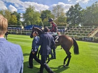 Raaheeb impresses at Ascot debut