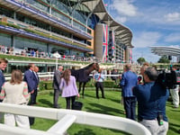 Peter Moore racing column: Jockeys Crowley and Whelan injured at York