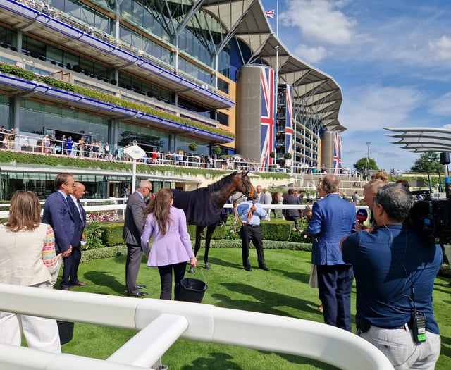 Peter Moore racing column: Jockeys Crowley and Whelan injured at York