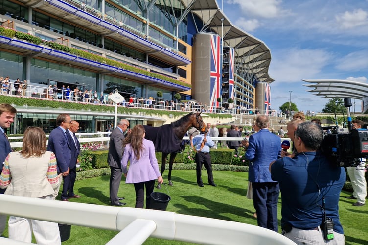 River Card at Ascot (Photo: Peter Moore)