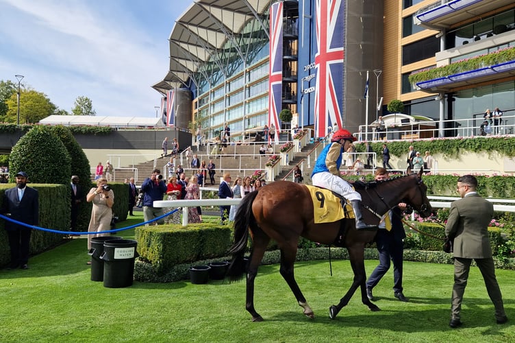 Native Warrior with Jamie Spencer aboard (Photo: Peter Moore)