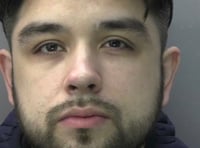 Prolific abuser jailed for 12 years
