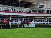 Aidan O'Brien makes history with third consecutive St Leger win