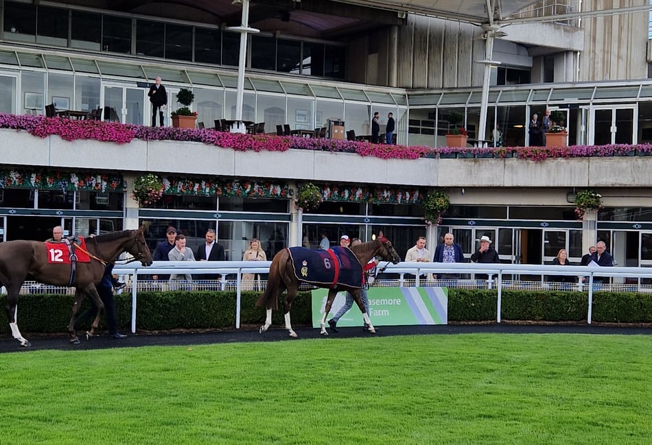 Aidan O'Brien makes history with third consecutive St Leger win