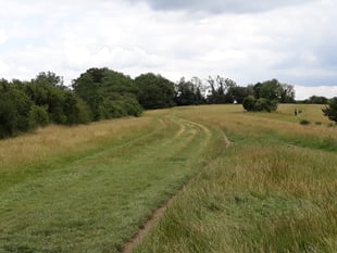 Ancient grasslands deserve protection