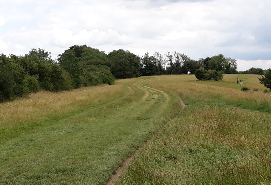 How maps take me back to my routes