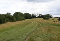 Surrey's ancient grasslands deserve protection