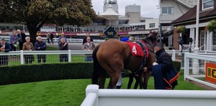 Cicero’s Gift eyes Ascot's Queen Elizabeth II Stakes after Sandown win