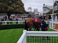 Cicero’s Gift eyes Ascot's Queen Elizabeth II Stakes after Sandown win