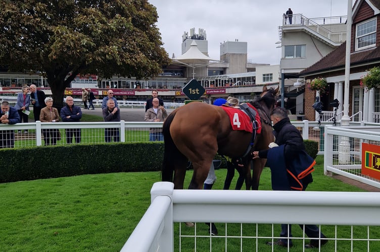 Fiorella Princess in the winners' enclosure at Sandown (Photo: Peter Moore)