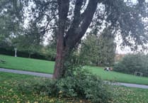 Autumn in Leatherhead: Windfall fruit, jam, and community kindness