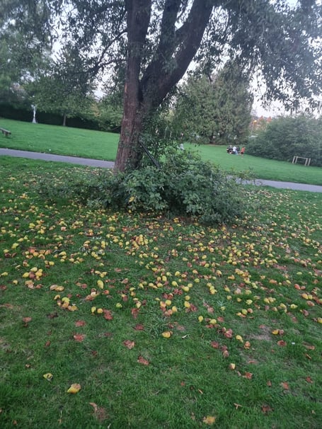 Celebrating local harvests and small acts of generosity