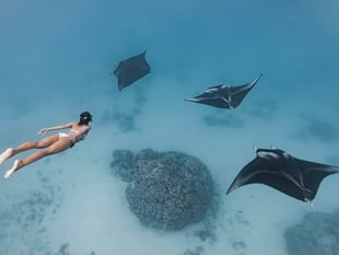 Dive deep into the sea at Ocean Film Festival in Guildford
