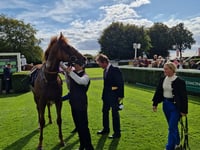 Boiling Point wins Bet365 Cambridgeshire photo finish at Newmarket