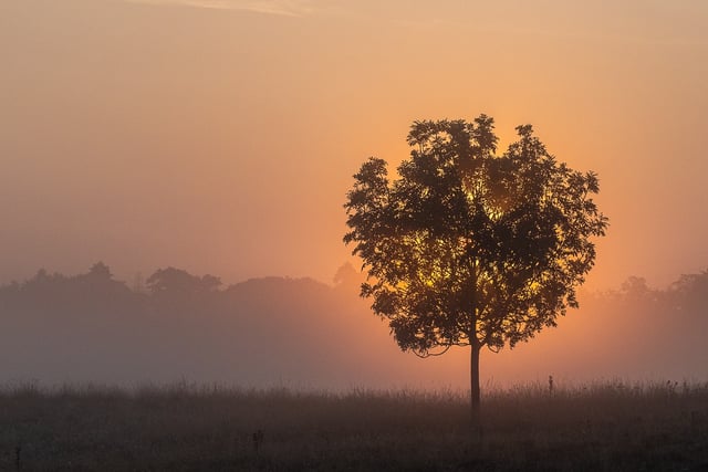 Woking Photographic Society's exciting return