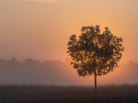 Woking Photographic Society's exciting return
