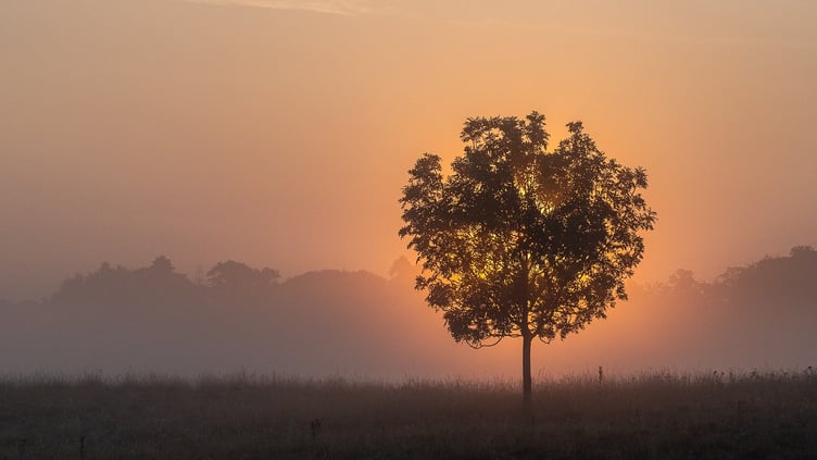 Mike Tibbotts: Eclipsed Sunrise