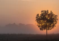 Exciting return for Woking Photographic Society