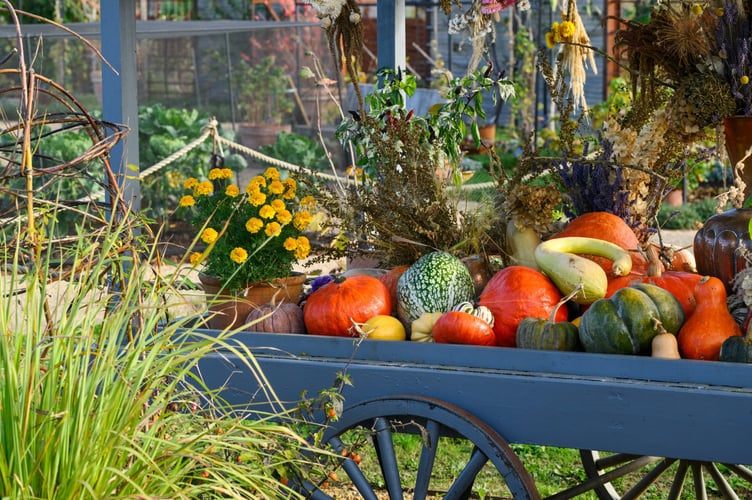 Plot to Plate event at RHS Garden Wisley ©RHS. Credit RHS, Jason Ingram