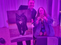 Magic makes headlines after national cat award win