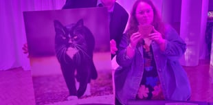 Magic makes headlines after national cat award win
