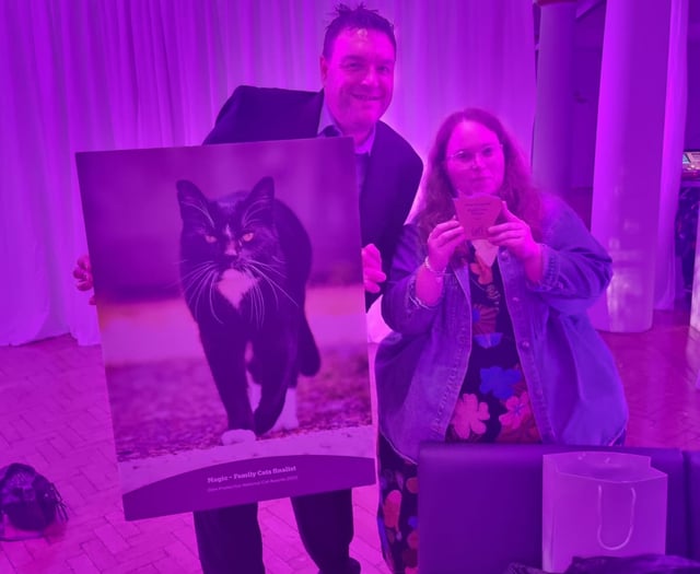 Magic makes headlines after national cat award win