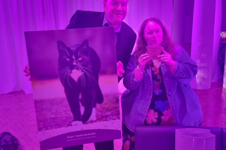 Magic the cat, winner of the Family Cat category at the Cats Protection National Cat Awards, enjoys a well-deserved moment in the spotlight