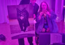 Magic makes headlines after national cat award win