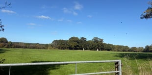Plans for 950 homes could double the size of Surrey village